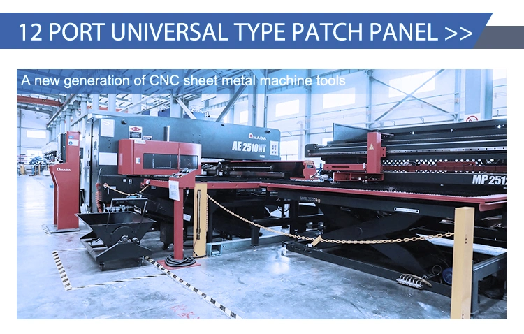 China 12 Port Fiber Optic Patch Panel